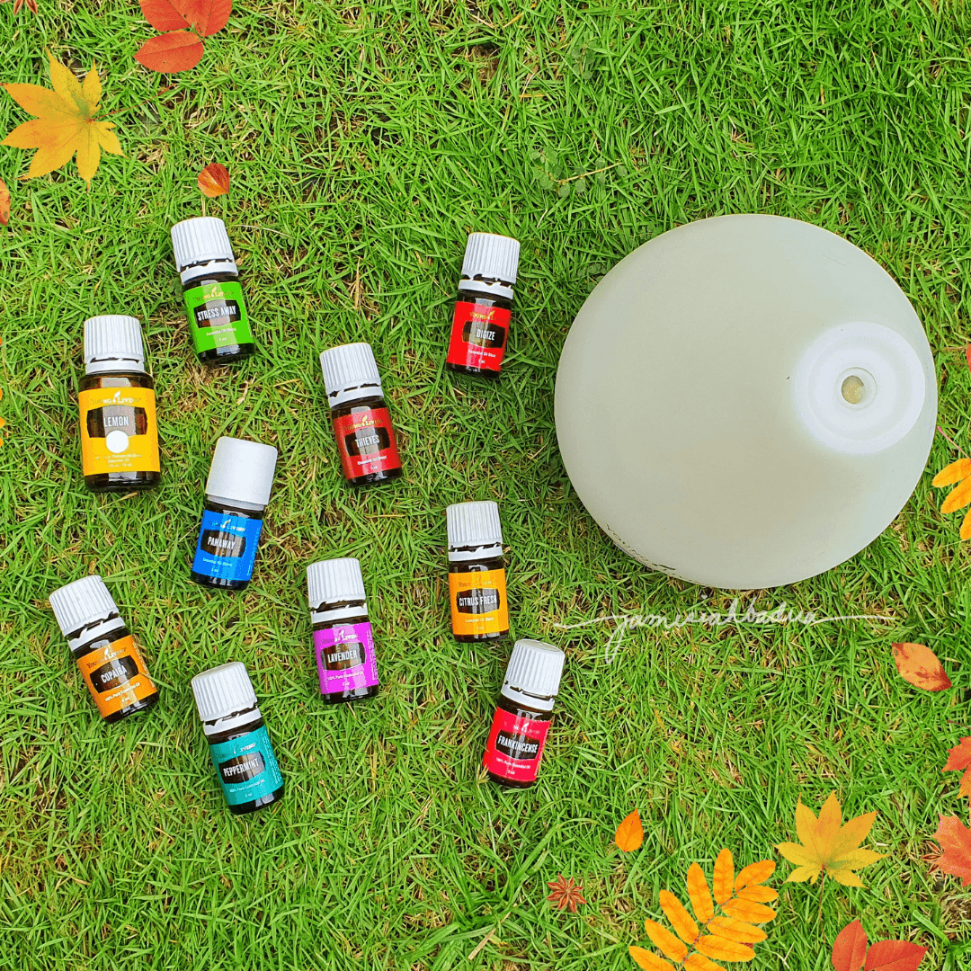 Image for Строите команду в Young Living?